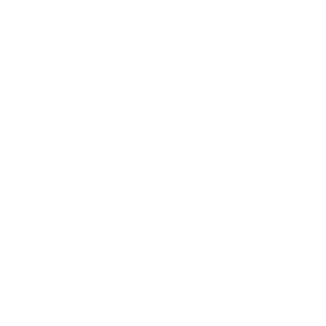 収入例